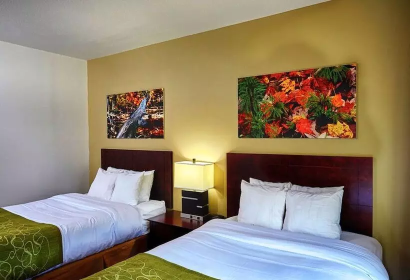 ホテル Ornl Guest House