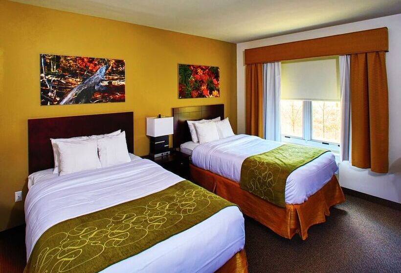 فندق Ornl Guest House