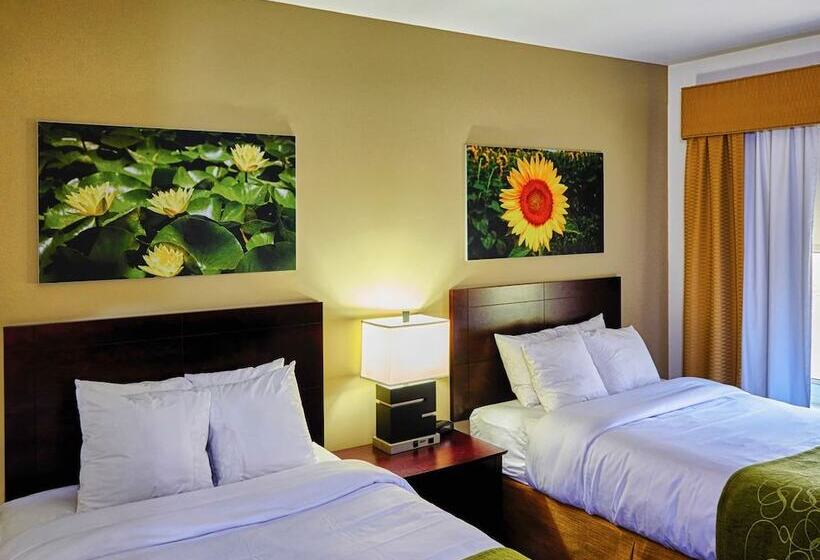 فندق Ornl Guest House