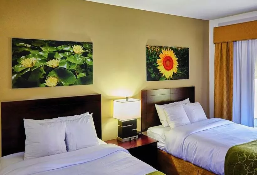 ホテル Ornl Guest House