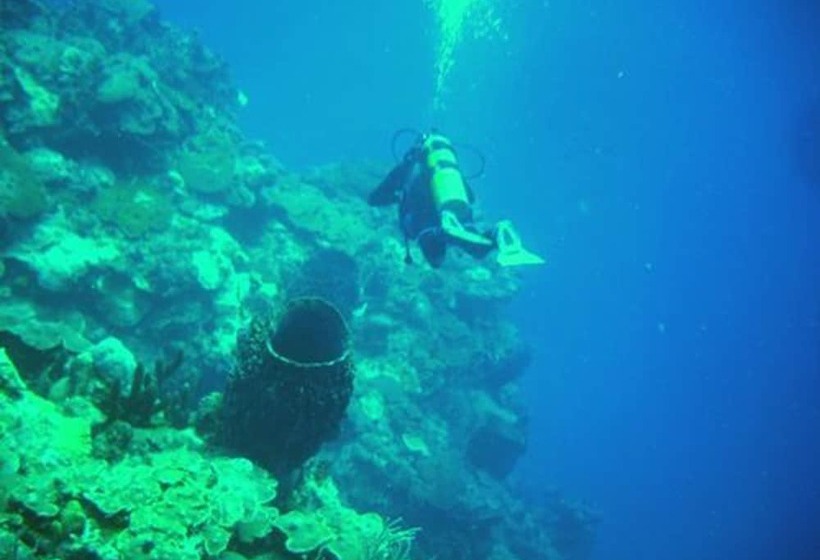 پانسیون Casa La Casa De Cecilia