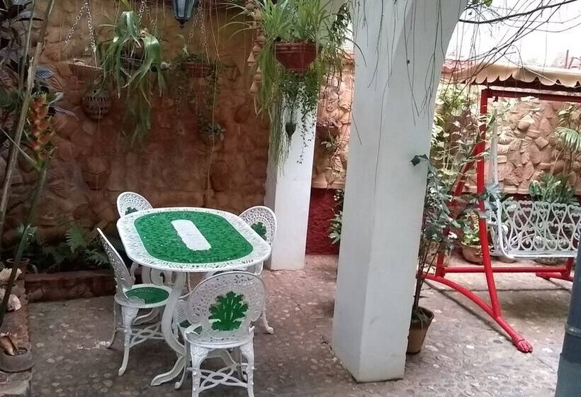 پانسیون Hostal Oasisabel