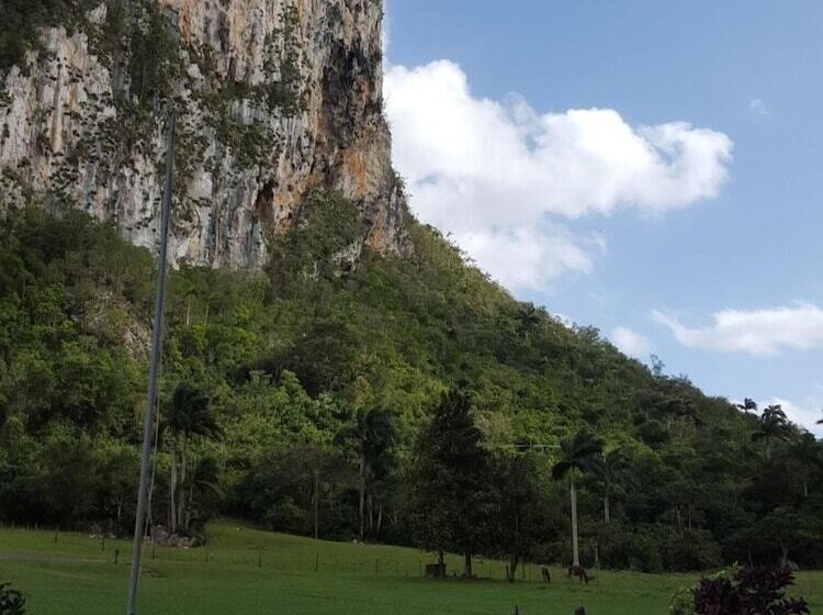 پانسیون Villa Las Arecas