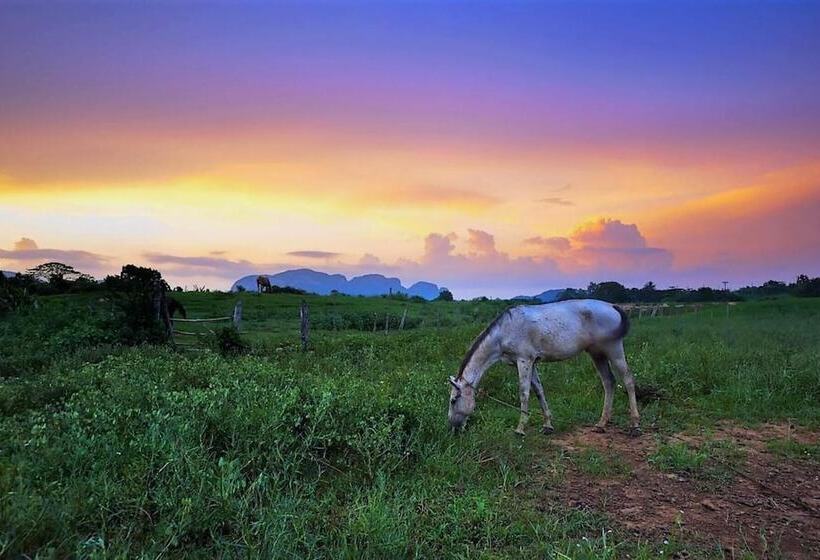 پانسیون Villa Las Arecas