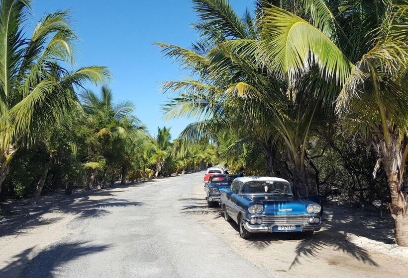 پانسیون Villa Las Arecas