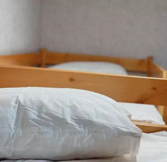 Ashuu Inn Hostel