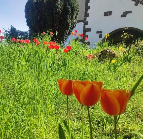 D Aiano Guest House B&b