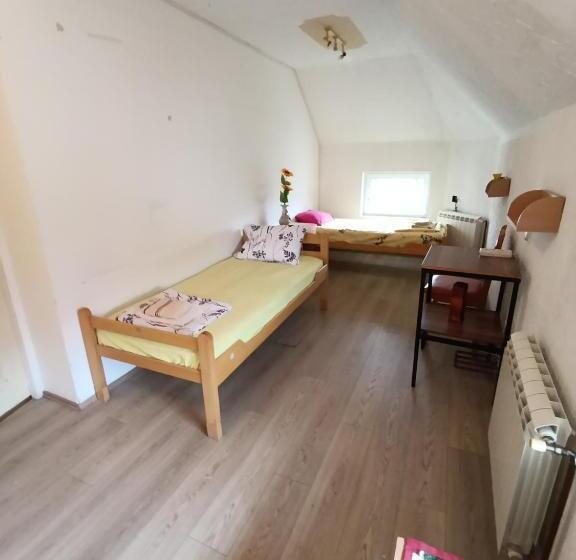 هاستل Rooms For Rent Sara