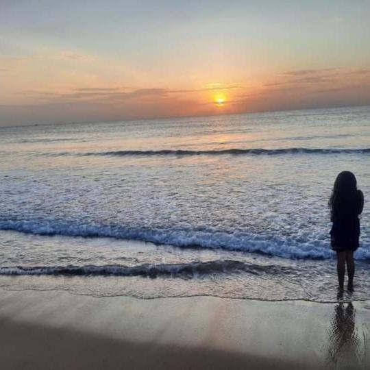 호텔 Ceylon Beach Haven Uppuveli