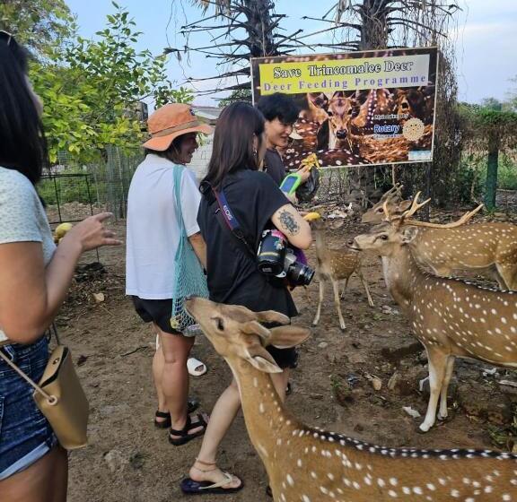 호텔 Ceylon Beach Haven Uppuveli