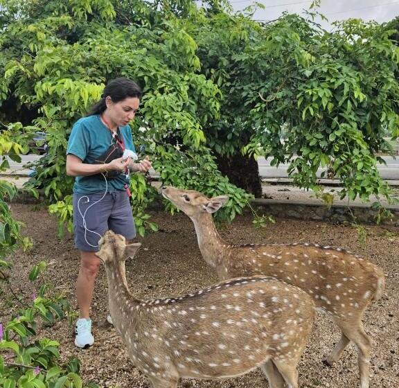 호텔 Ceylon Beach Haven Uppuveli