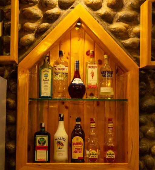 Hôtel Gyan Gauri Palace