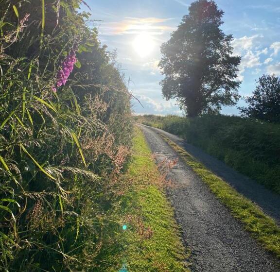 ペンション Hillside Launceston Cornwall