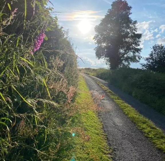 Majatalo Hillside Launceston Cornwall