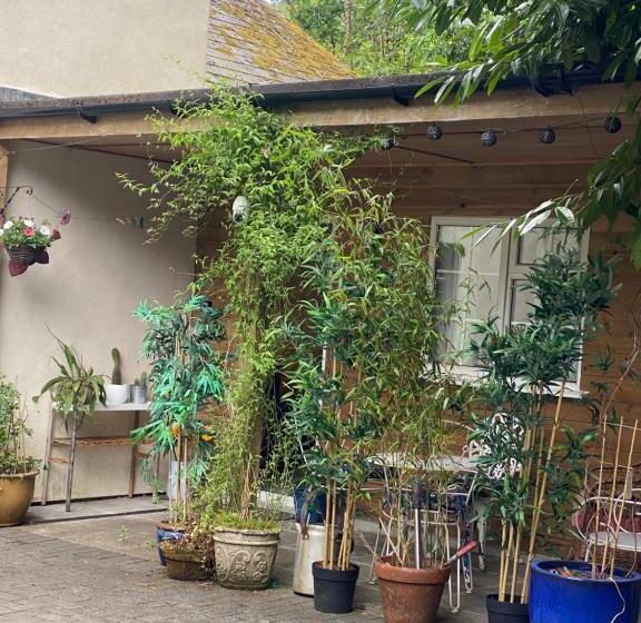 ペンション Hillside Launceston Cornwall