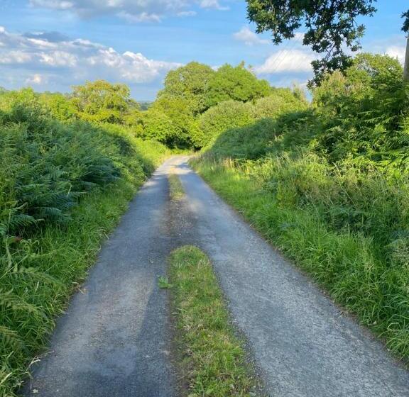 ペンション Hillside Launceston Cornwall