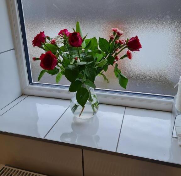 Pensjonat Jays Modern Guest House