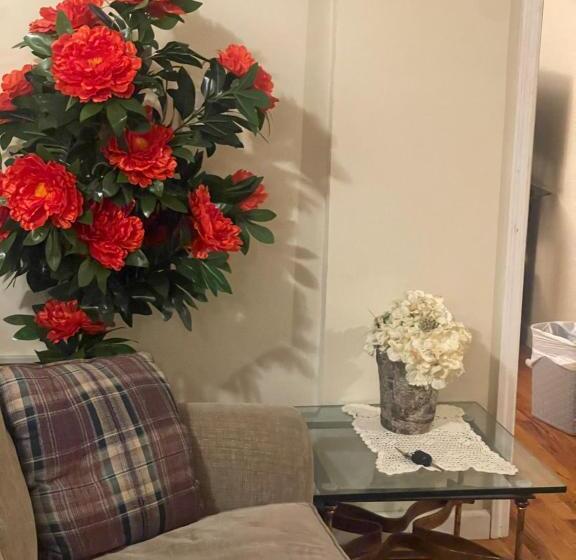 膳宿费 Peculiar 169 Sussex