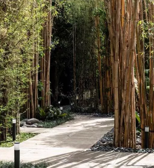 Shanti Cabin   Ezra Viniti Resort