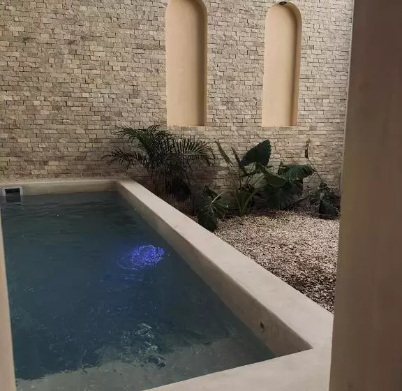 Apartments Suites Tierra Tulum   Pool & Roof Panoramic