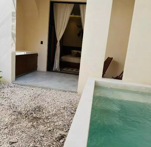 Apartments Suites Tierra Tulum   Pool & Roof Panoramic