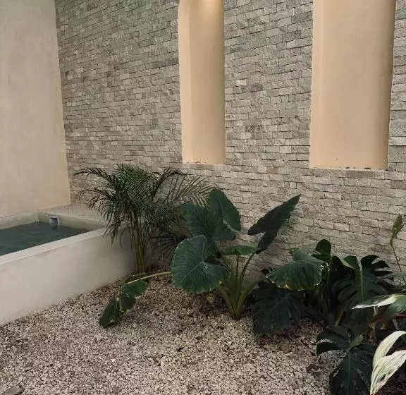 Apartments Suites Tierra Tulum   Pool & Roof Panoramic