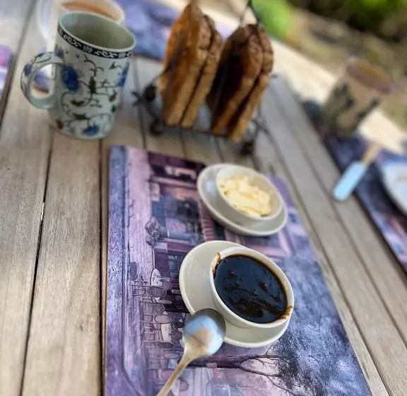 ベッドアンドブレックファースト Stay With Robin