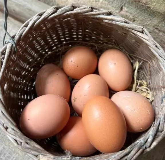 ベッドアンドブレックファースト Stay With Robin