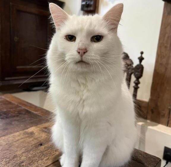 צימר Stay With Robin