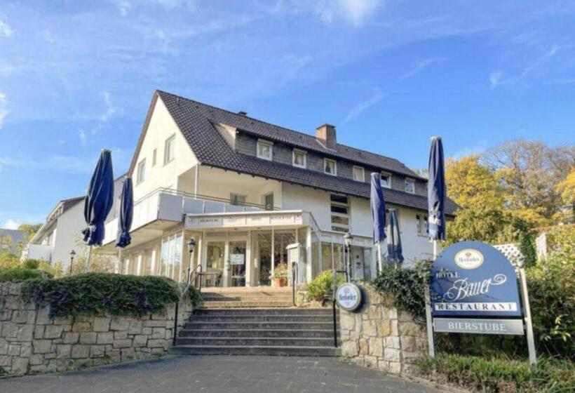 בית מלון כפרי Bauer
