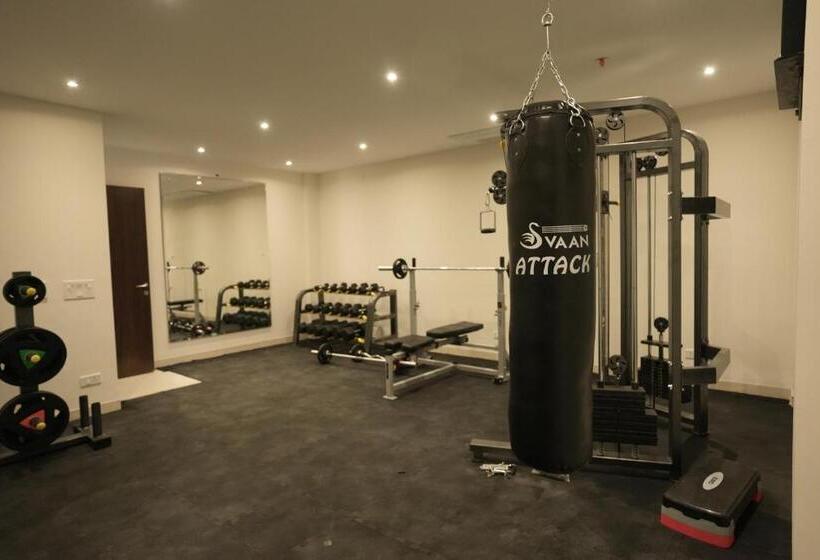 Отель The Belvedere Kasauli