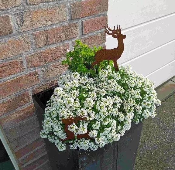 Majatalo Au Sarseyis   Studio D Hôtes   Studio équestre