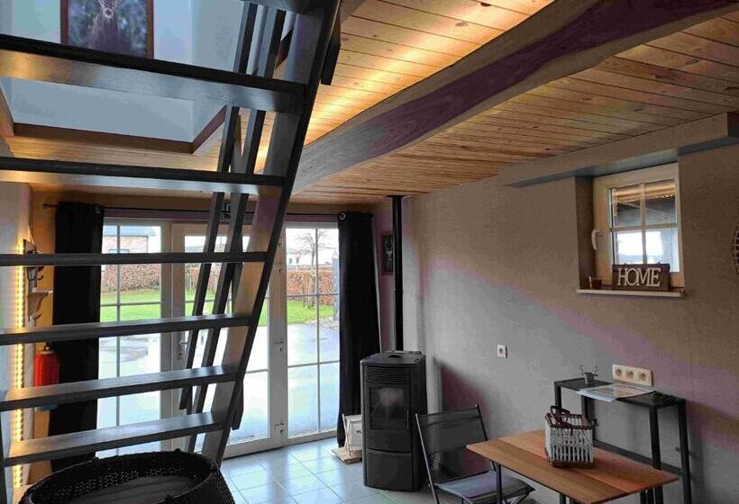 پانسیون Au Sarseyis Studio D Hôtes Studio équestre