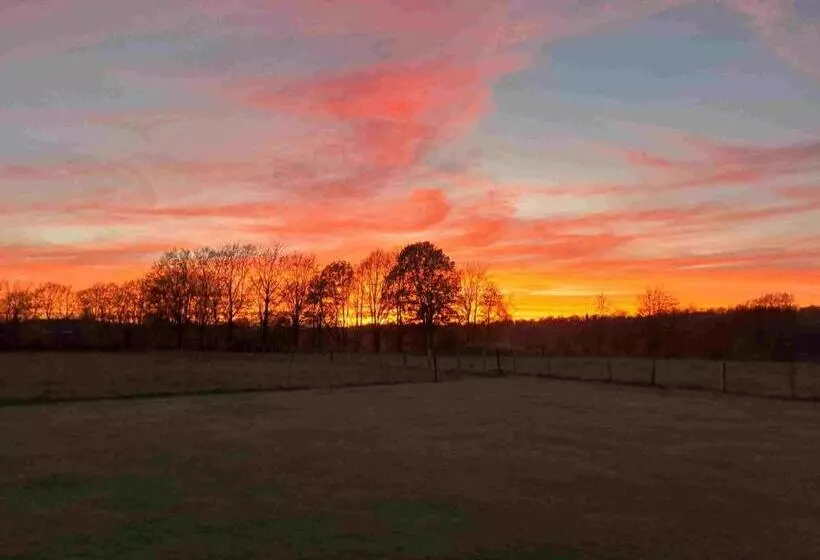 Majatalo Au Sarseyis   Studio D Hôtes   Studio équestre