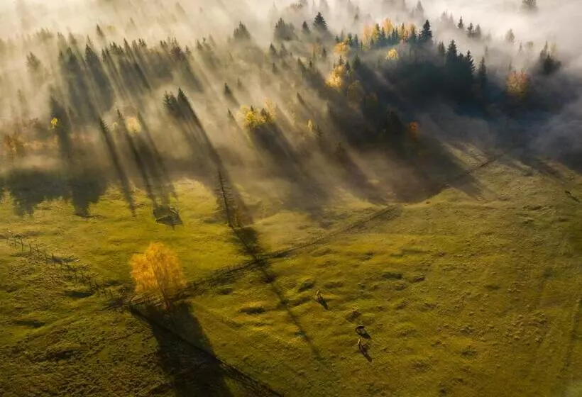 پانسیون Bucovina Exclusiv