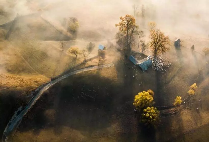 پانسیون Bucovina Exclusiv