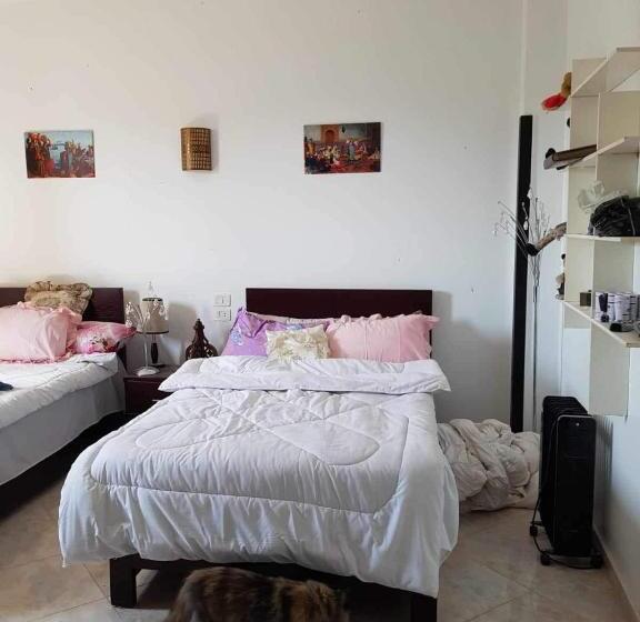 پانسیون Egypt Amon