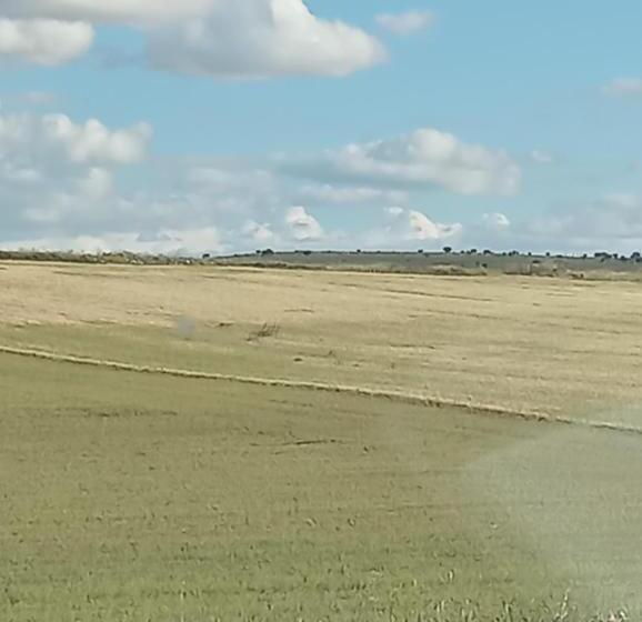 הוסטל Bar Hostal Torralba De Los Sisones