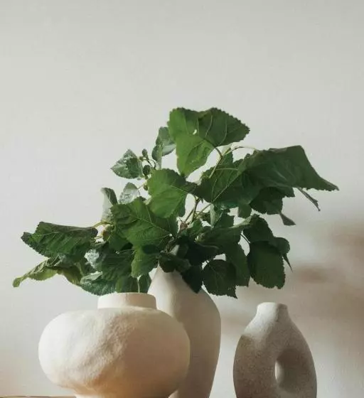 ユースホステル Locanda Degli Ulivi