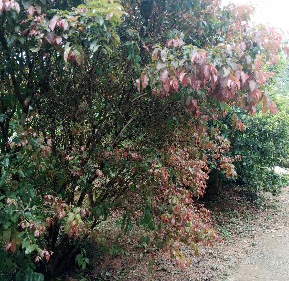 Bed and Breakfast Js Home Ella