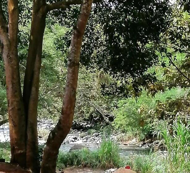 בית מלון כפרי Club Balneario La Isla Del Encanto