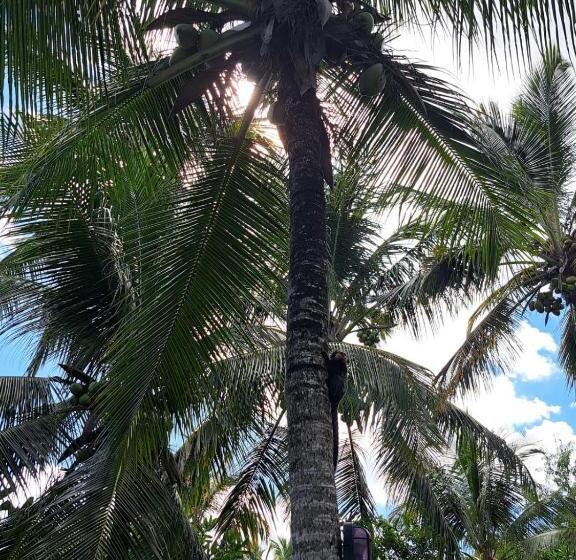 בית מלון כפרי Maroca Pousada De Charme   Ex Victor Hugo