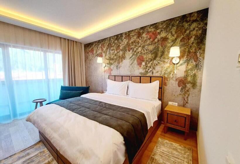 호텔 Pensiunea Leonida Resort Leonida