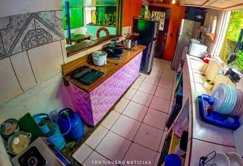 Hotelli Tortuguero Kore