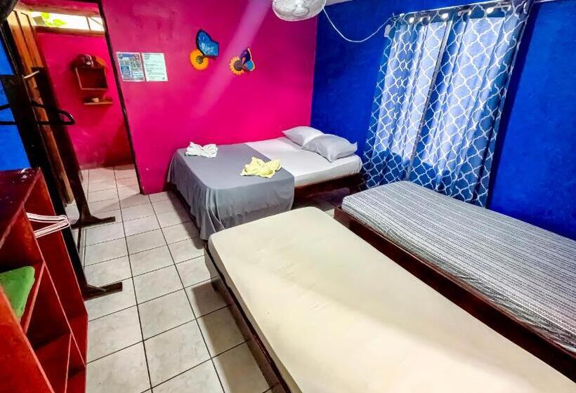 هتل Tortuguero Kore