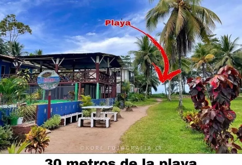 Hotelli Tortuguero Kore