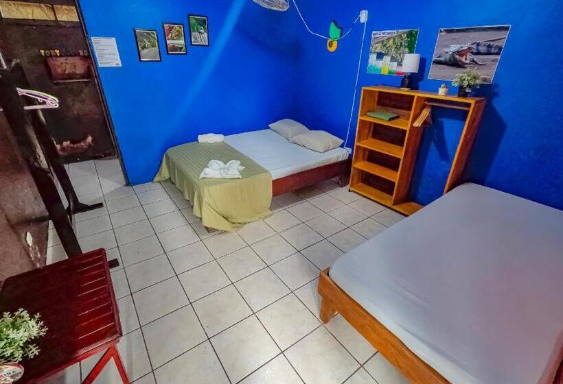 هتل Tortuguero Kore