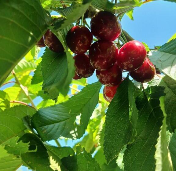 پانسیون Madoyans Rest House