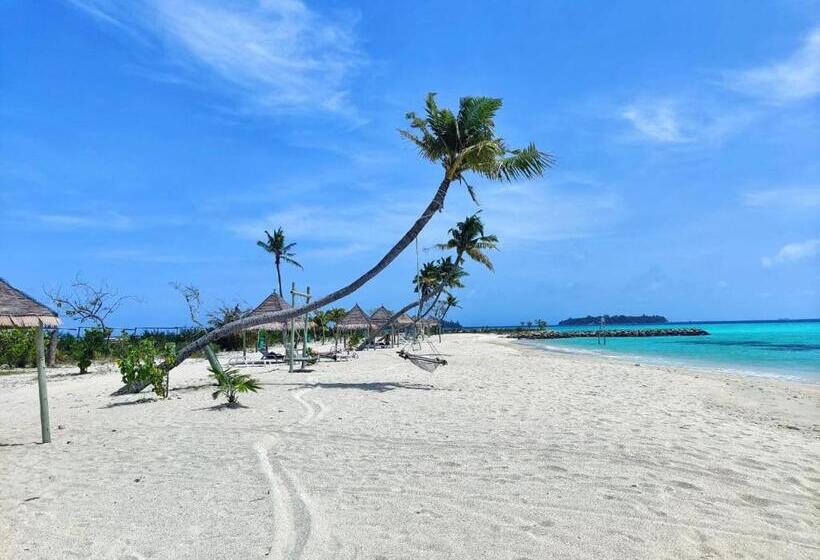 پانسیون Palm Lagoon