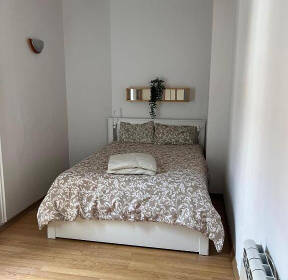 Общежитие Habitacion Privada En Apartamento Compartido